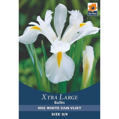 De Ree - Xtra Large Bulbs 