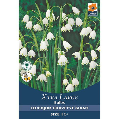 De Ree - Xtra Large Bulbs 