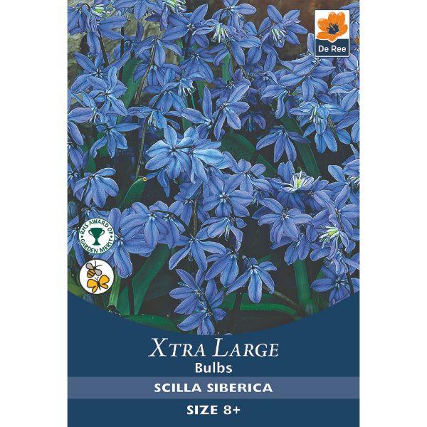 De Ree - Xtra Large Bulbs 