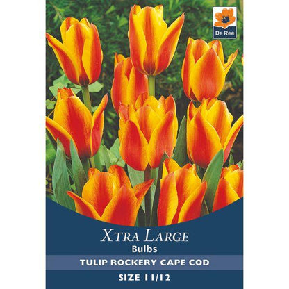 De Ree - Xtra Large Bulbs 