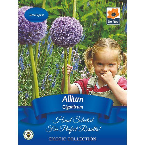 De Ree - Exotic Bulb Pack