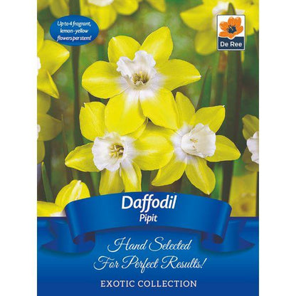 De Ree - Exotic Bulb Pack