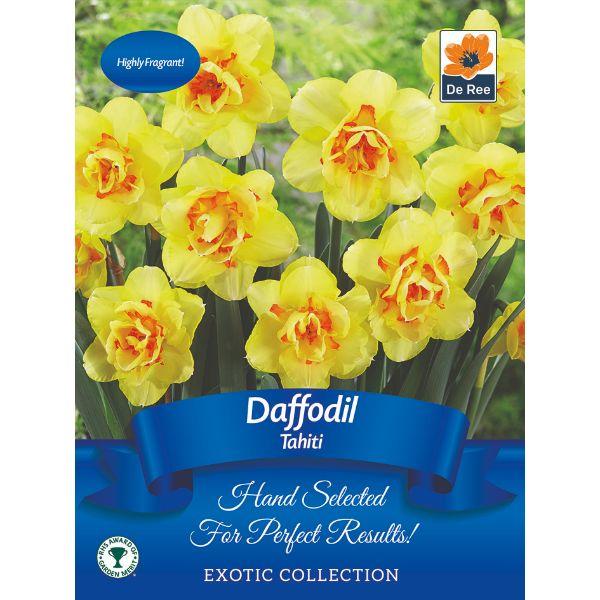 De Ree - Exotic Bulb Pack