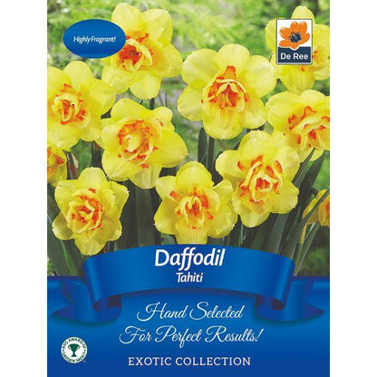 De Ree - Exotic Bulb Pack