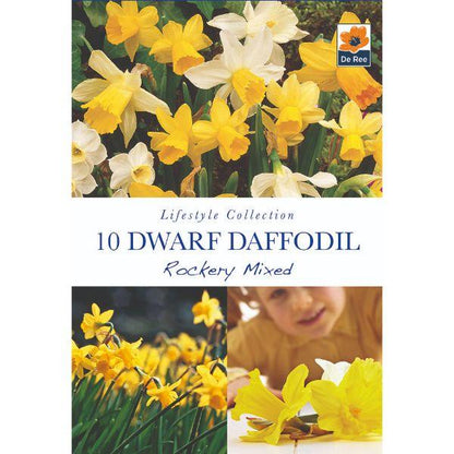 De Ree - Lifestyle Bulb Collection 