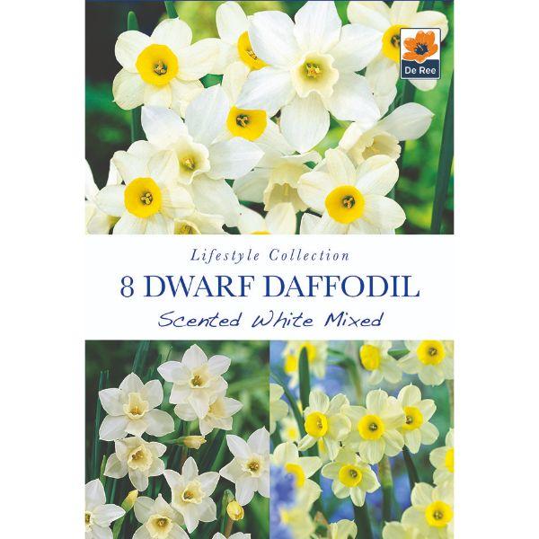 De Ree - Lifestyle Bulb Collection 