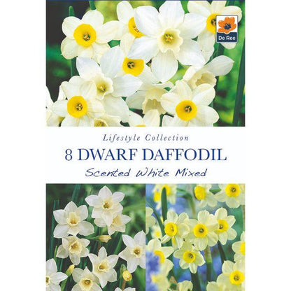 De Ree - Lifestyle Bulb Collection 