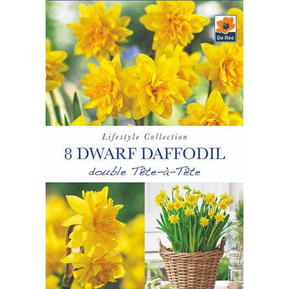 De Ree - Lifestyle Bulb Collection 