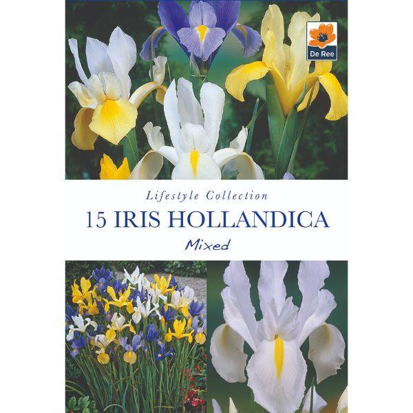 De Ree - Lifestyle Bulb Collection 