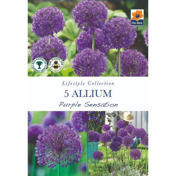 De Ree - Lifestyle Bulb Collection 