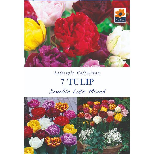 De Ree - Lifestyle Bulb Collection 