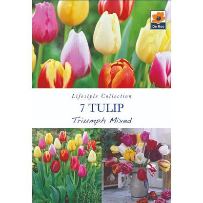 De Ree - Lifestyle Bulb Collection 