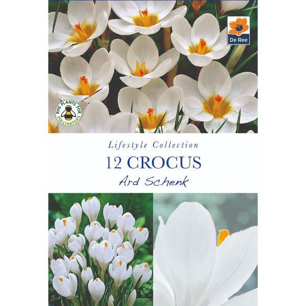 De Ree - Lifestyle Bulb Collection 