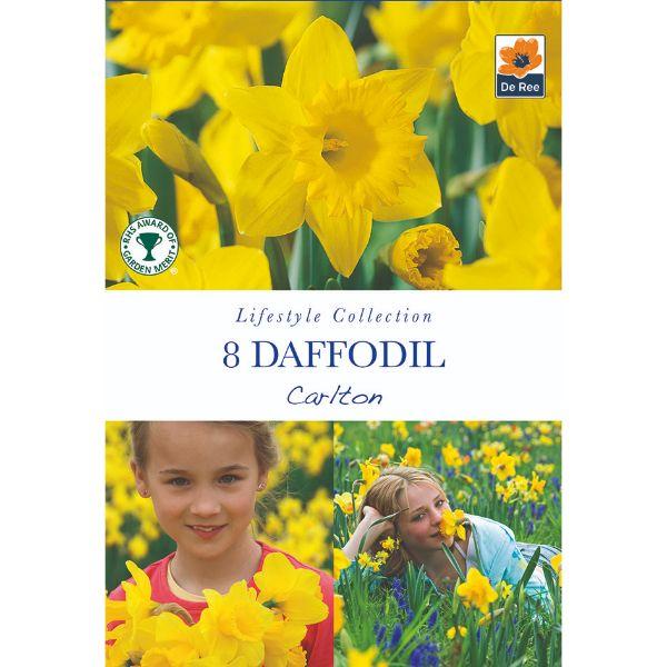 De Ree - Lifestyle Bulb Collection 