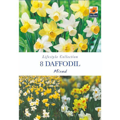 De Ree - Lifestyle Bulb Collection 