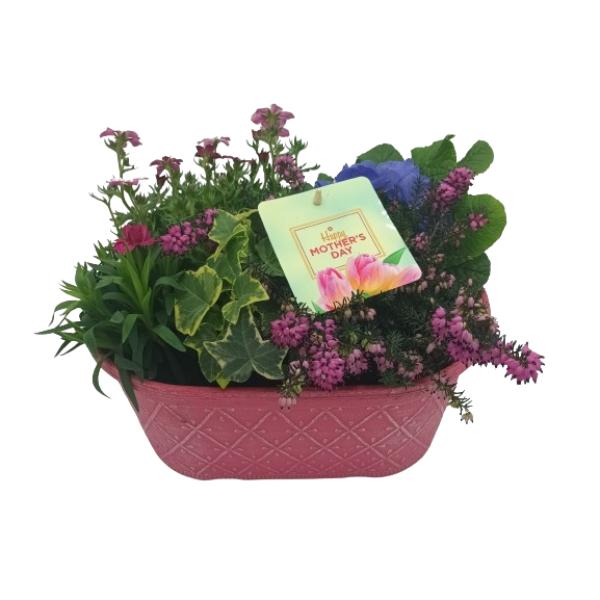 Prisma Bowl Planter 30cm