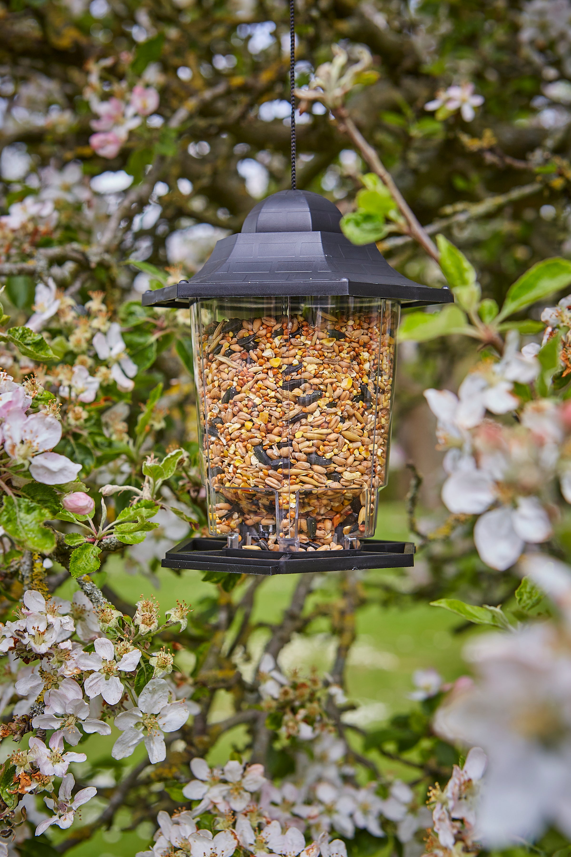 Lantern Seed Feeder