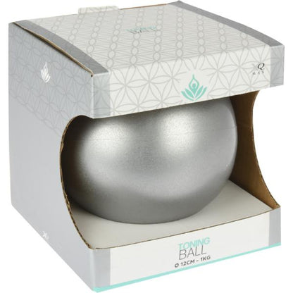 Yoga Toning Ball 2 Assorted Colours