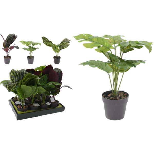 Artificial Plant In Black Pot 30cm In 4 Assorted Styles