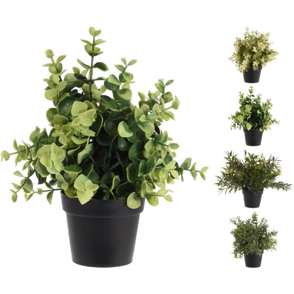 Artificial Plant In Black Pot 23cm In 4 Assorted Designs