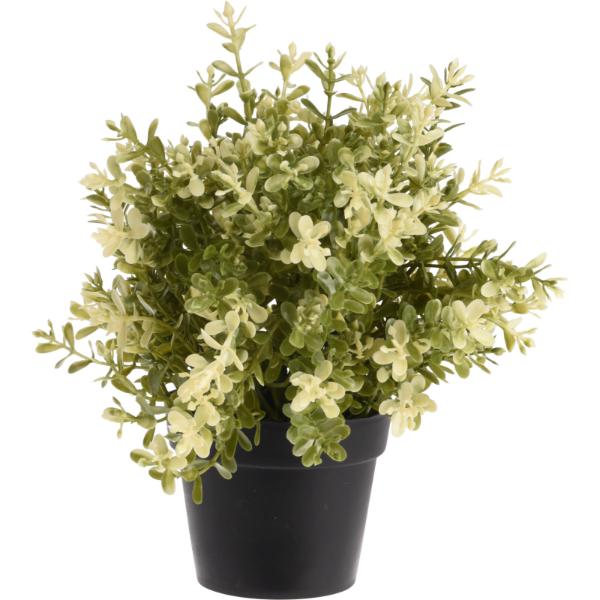 Artificial Plant In Black Pot 23cm In 4 Assorted Designs