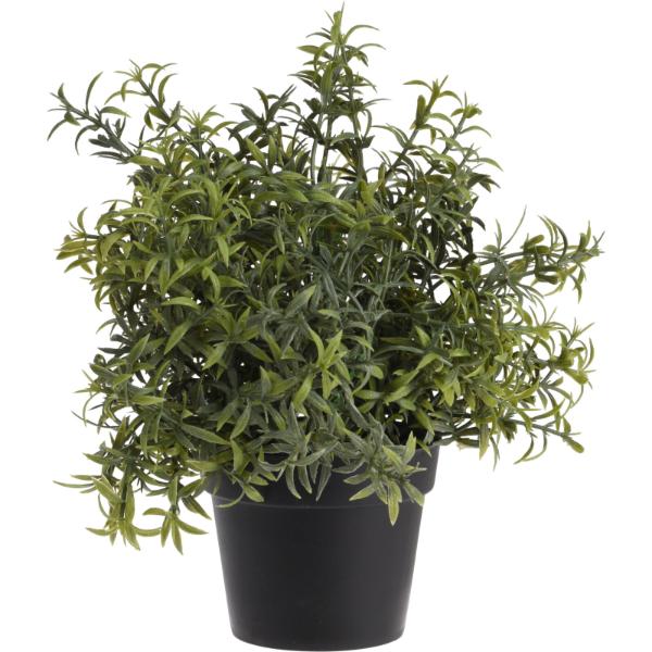 Artificial Plant In Black Pot 23cm In 4 Assorted Designs