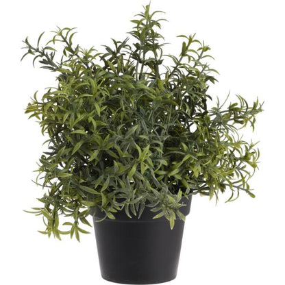 Artificial Plant In Black Pot 23cm In 4 Assorted Designs