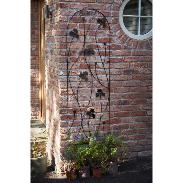 Tom Chambers 1.8m Ginkgo Trellis