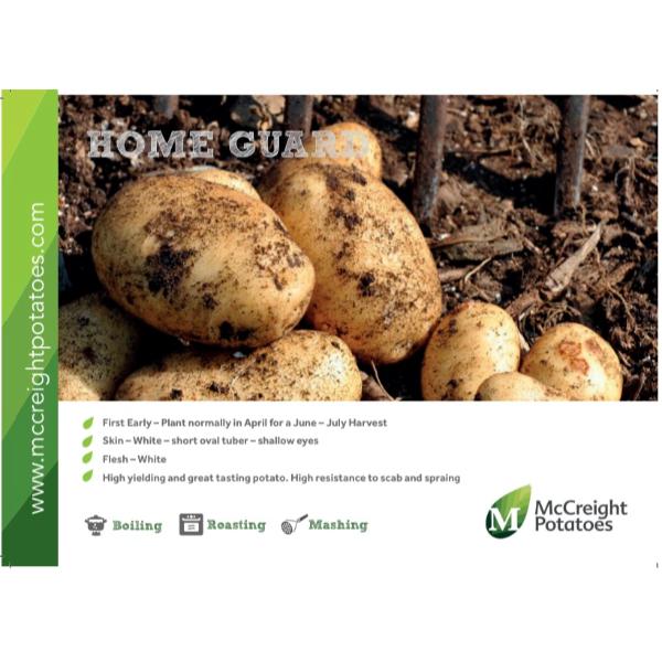 Home Guard Seed Potatoes 2kg