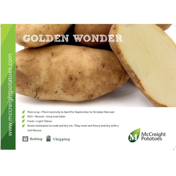 Golden Wonder Seed Potatoes 5kg
