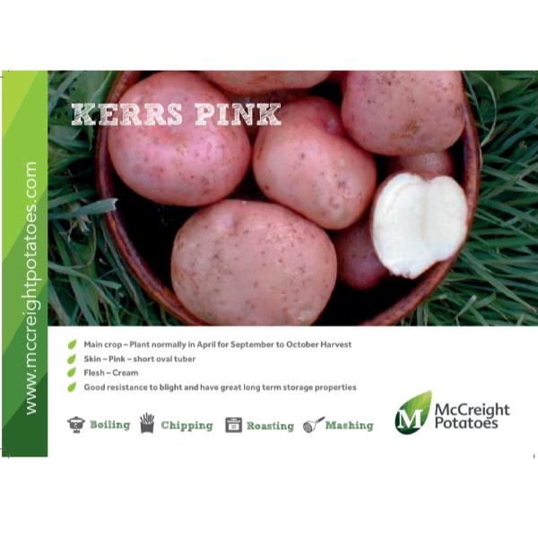 Kerrs Pink Seed Potatoes 25kg