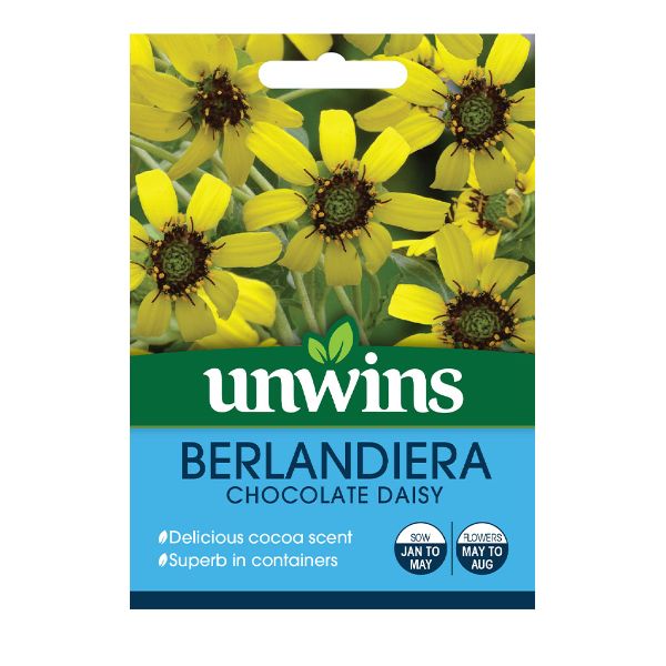 Unwins Seed Packet Berlandiera Chocolate Daisy
