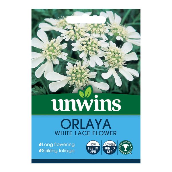 Unwins Seed Packet Orlaya White Lace Flower