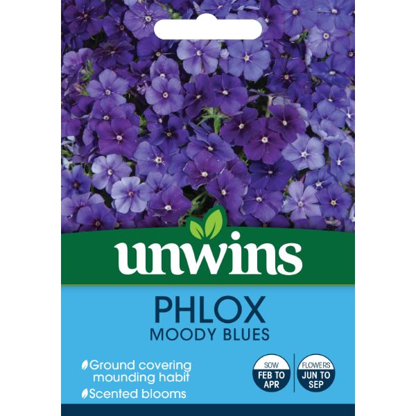 Unwins Seed Packet Phlox Moody Blues