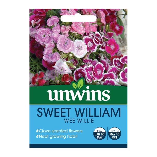 Unwins Seed Packet Sweet William Wee Willie