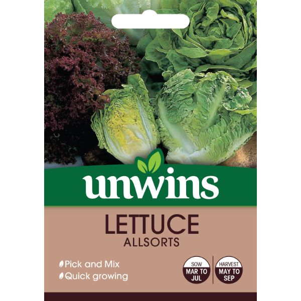 Unwins Seed Packet Lettuce Allsorts