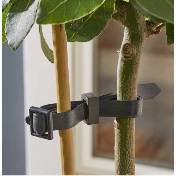 Buckle Rose &amp; Shrub Ties 4 Pack