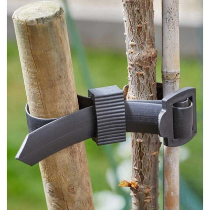 Buckle Tree Ties 2 Pack