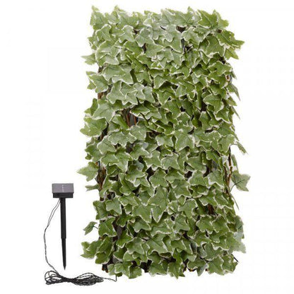 Smart 75 Led Solar In-Lit Ivy Trellis 180 X 90 cm