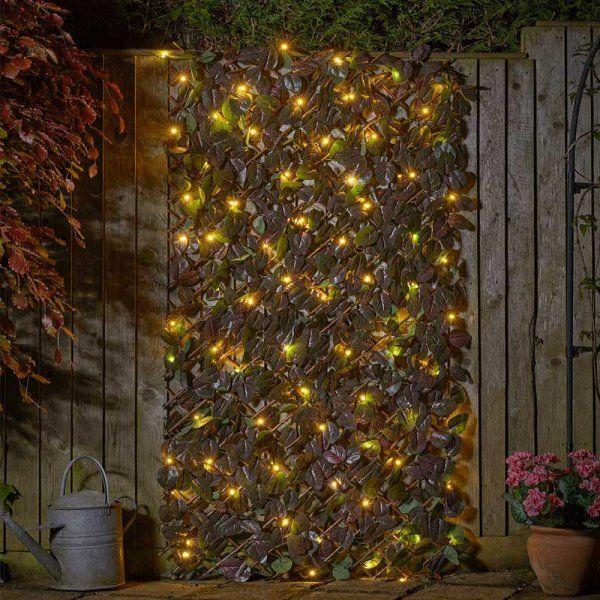 Smart 50 Led Solar Lit Purpl Haze Trellis 180X60cm