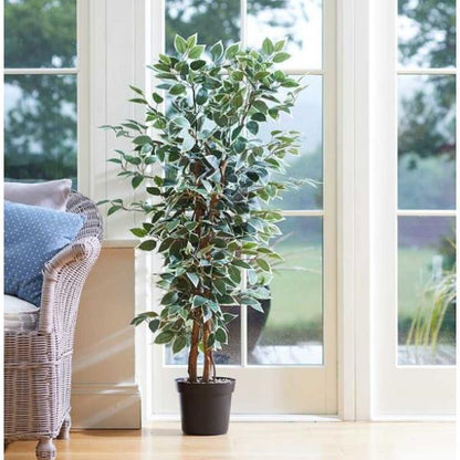 Faux Décor Weeping Fig 130  cm