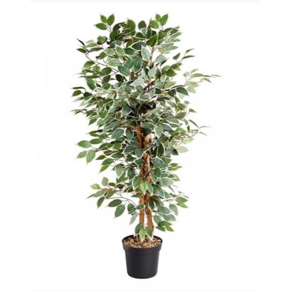 Faux Décor Weeping Fig 130  cm