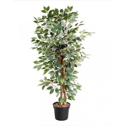 Faux Décor Weeping Fig 130  cm