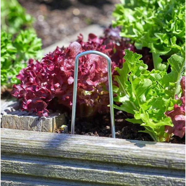 Galvanised Film &amp; Fabric Staples 10 pack