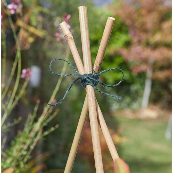 Smart Garden Garden &amp; Home Twine - Green 100G