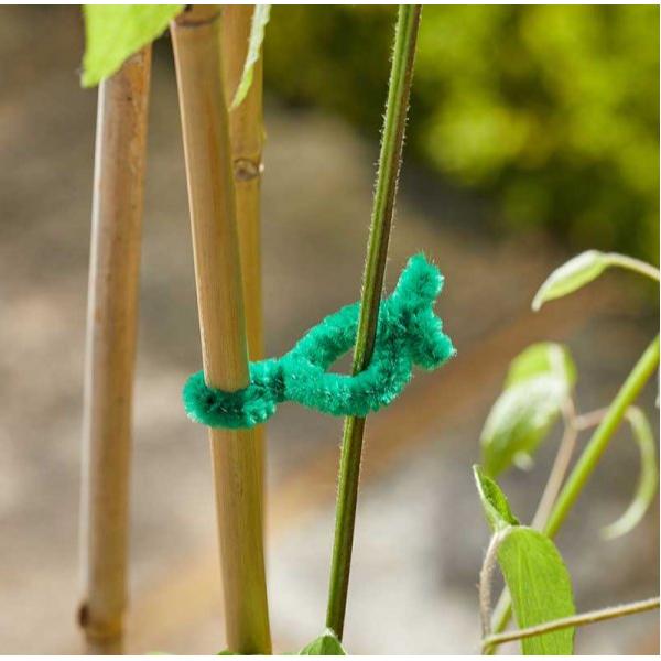 Smart Garden Softies 15 Cm 50 pack