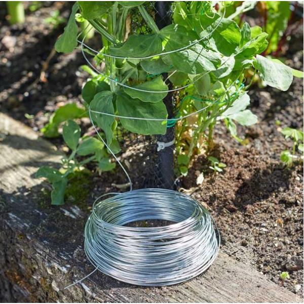Smart Garden Galvanised Wire 1mm X 50m