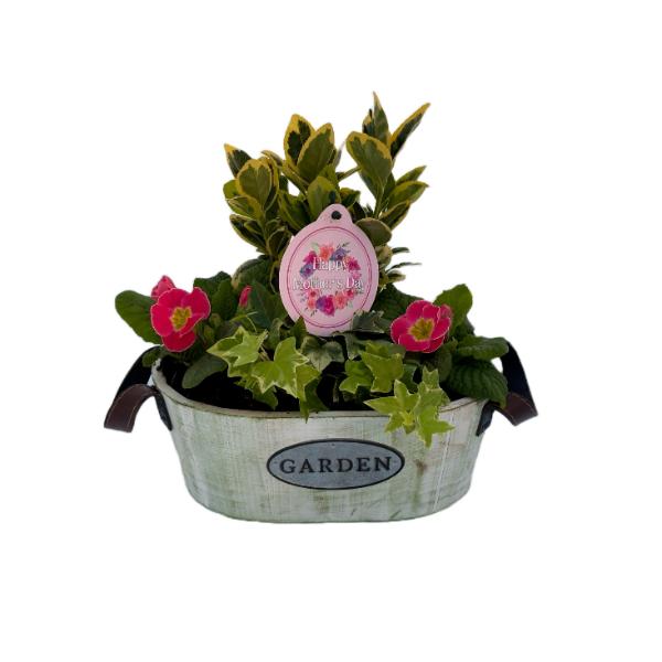 Mothers Day Planter - Green Oval Wooden Trough