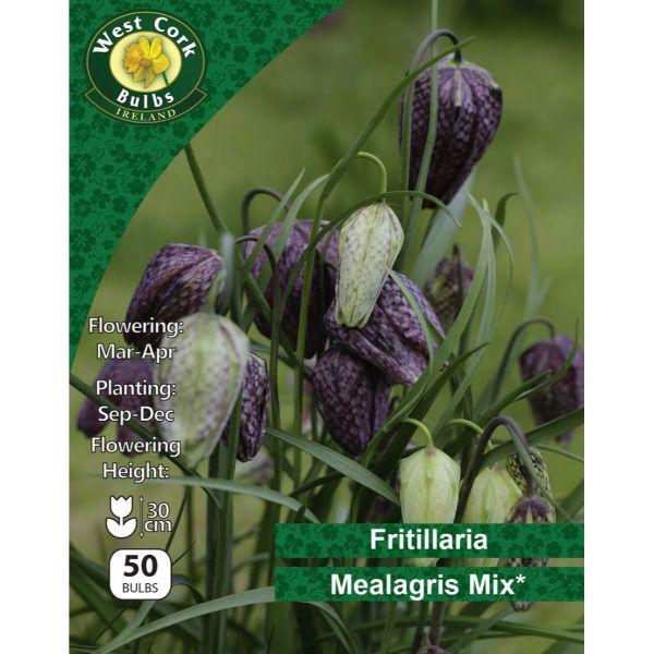 West Cork Fritillaria Mealagris Mixed Varieties 50 Bulbs