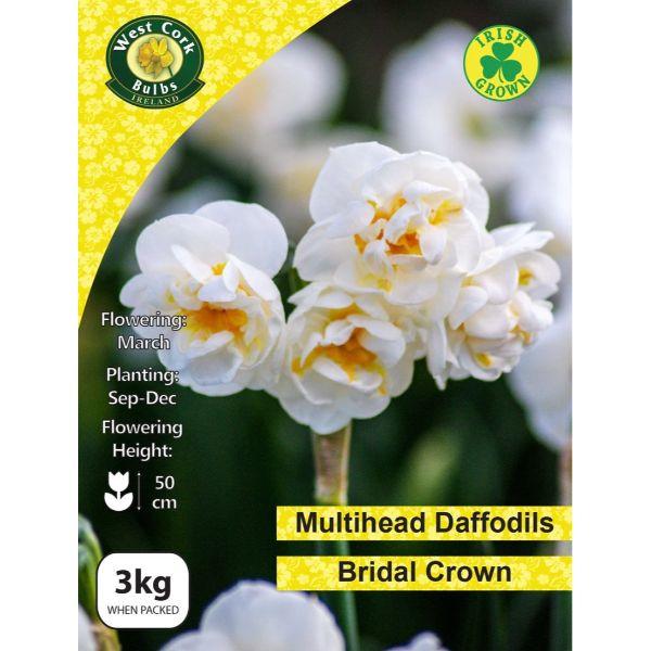 West Cork Daffodil Bridal Crown 3kg